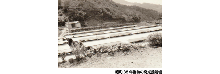 昭和38年当時の高光養鶏場